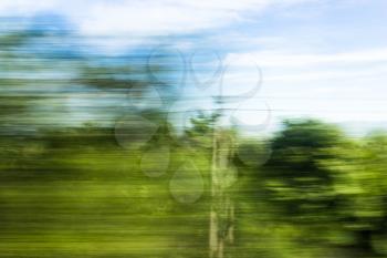 Nature in motion from the train window .