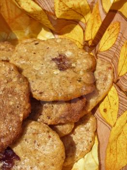 Homemade cookies with sesame tahini, honey, dates, walnuts, oatmeal, cinnamon and vanilla.