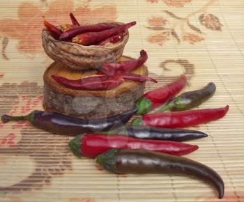 Dried and fresh chilies