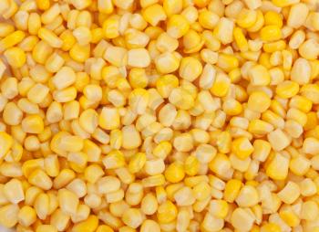 Royalty Free Photo of a Bunch of Corn