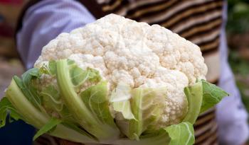 Royalty Free Photo of a Person Holding Cauliflower