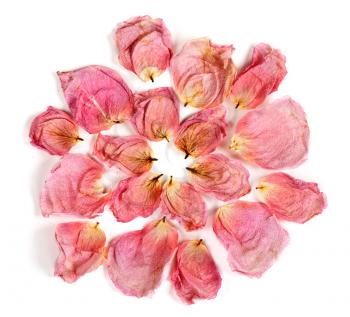Royalty Free Photo of Dried Rose Petals