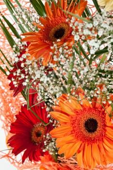 Royalty Free Photo of a Bouquet of Gerber Daisies
