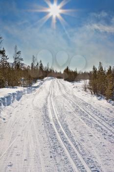 empty trails for cross-country skiing and winter sun