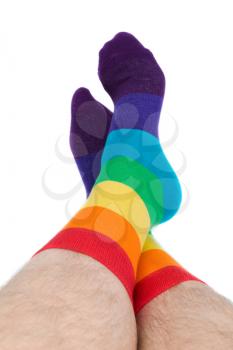 Mens hairy legs in colored striped socks fun. Isolate on white.