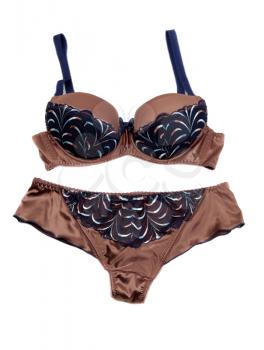 Brown Set of lingerie, isolate on a white background