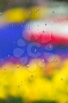 Drops of water on glass on background of brightly colored tulips.