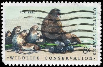 Royalty Free Photo of 1972 US Stamp Shows the Fur Seals, Wildlife Conservation