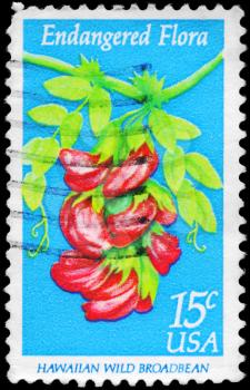 Royalty Free Photo of 1979 US Stamp Shows the Hawaiian Wild Broadbean, Endangered Flora