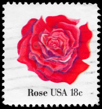 Royalty Free Photo of 1981 US Stmap Shows the Rose, Flowers Series