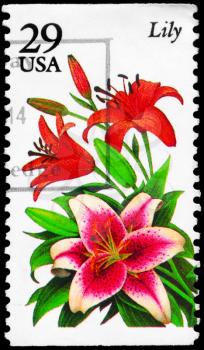 Royalty Free Photo of 1994 US Stamp Shows the Lily, Garden Flowers