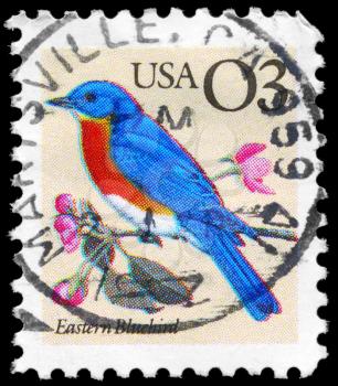 Royalty Free Photo of 1996 US Stamp Shows the Eastern Bluebird, Flora and Fauna