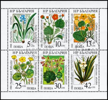 BULGARIA - CIRCA 1988: A Stamp sheet printed in BULGARIA shows set of the Flowers, from the series Marine flowers, circa 1988