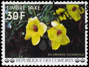 COMOROS - CIRCA 1977: A Stamp printed in COMOROS shows the image of a Allamanda cathartica, series, circa 1977