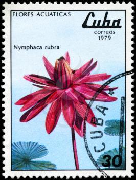 CUBA - CIRCA 1979: A Stamp shows image of a Red Nymphaea with the inscription Nymphaca rubra, from the series aquatic flowers, circa 1979