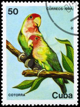 CUBA - CIRCA 1984: A Stamp printed in CUBA shows image of a Parrots  from the series Fauna, circa 1984