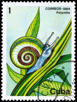 CUBA - CIRCA 1984: A Stamp printed in CUBA shows image of a Snail with the description Polymita from the series Fauna, circa 1984