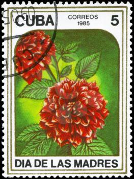 CUBA - CIRCA 1985: A Stamp printed in CUBA shows image of a Dahlias, from the series Mother's Day, circa 1985
