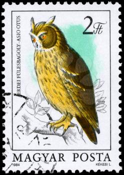 HUNGARY - CIRCA 1984: A Stamp shows image of a Long-eared Owl with the inscription Asio otus from the series Owls, circa 1984