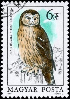 HUNGARY - CIRCA 1984: A Stamp shows image of a Ural Owl with the inscription Strix uralensis from the series Owls, circa 1984