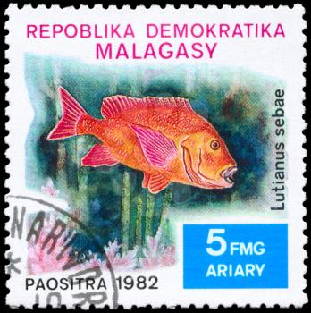 MALAGASY - CIRCA 1982: A Stamp printed in MALAGASY shows image of a Snapper with the inscription Lutianus sebae from the series Local Fish, circa 1982
