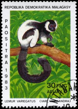 MALAGASY REPUBLIC - CIRCA 1983: A Stamp printed in MALAGASY REPUBLIC shows image of a Ruffed Lemur with the description Lemur variegatus from the series Various Lemurs, circa 1983