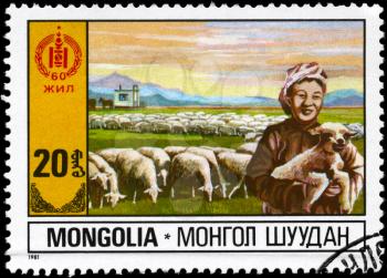 MONGOLIA - CIRCA 1981: A Stamp printed in MONGOLIA shows the Sheep Farming, from the series Economic Development, circa 1981