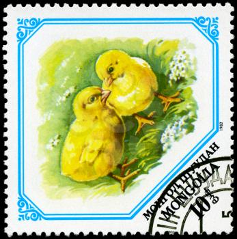 MONGOLIA - CIRCA 1982: A Stamp shows image of a chickens, series, circa 1982