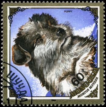 MONGOLIA - CIRCA 1984: A Stamp printed in MONGOLIA shows image of a Puppy from the series Dogs, circa 1984
