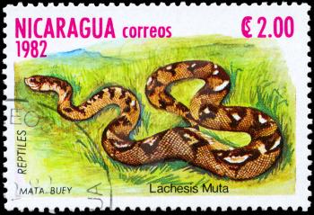 NICARAGUA - CIRCA 1982: A Stamp printed in NICARAGUA shows the image of a Bushmaster with the description Lachesis muta from the series Reptiles, circa 1982