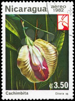 NICARAGUA - CIRCA 1982: A Stamp printed in NICARAGUA shows image of a Clitoria, series, circa 1982