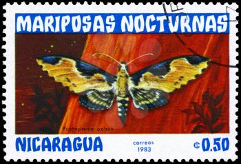 NICARAGUA - CIRCA 1983: A Stamp printed in NICARAGUA shows image of a Moth with the inscription Protoparce ochus from the series Nocturnal Moths, circa 1983
