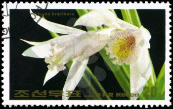 NORTH KOREA - CIRCA 1984: A Stamp printed in NORTH KOREA shows image of a Thunia bracteata, from the series Flowers, circa 1984