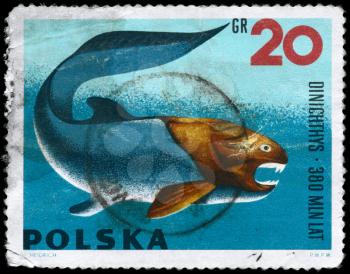 POLAND - CIRCA 1966: A Stamp printed in POLAND shows image of a Dunkleosteus with the inscription Dinichthys from the series Prehistoric Animals, circa 1966