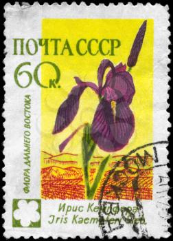 USSR - CIRCA 1960: A Stamp printed in USSR shows image of a Iris with the description Iris Kaempferi Sieb., from the series Asiatic Flowers, circa 1960
