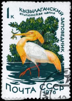 USSR - CIRCA 1976: A Stamp printed in USSR shows image of a Squacco Heron with the inscription Kyzylagach Conservation from the series Waterfowl, circa 1976