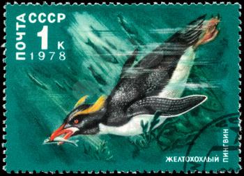 USSR - CIRCA 1978: A Stamp printed in USSR shows image of a Crested Penguin from the series Antarctic Fauna, circa 1978
