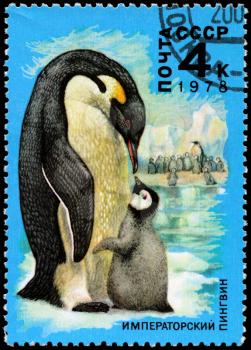 USSR - CIRCA 1978: A Stamp printed in USSR shows image of a Emperor Penguin and Chick from the series Antarctic Fauna, circa 1978