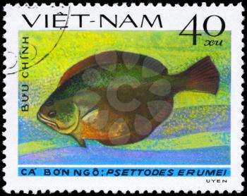 VIETNAM - CIRCA 1982: A Stamp printed in VIETNAM shows image of a Flatfish with the inscription Psettodes erumei from the series Fish, circa 1982