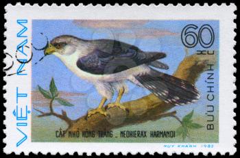 VIETNAM - CIRCA 1982: A Stamp shows image of a Neohierax with the inscription Neohierax harmandi from the series Birds of prey, circa 1982