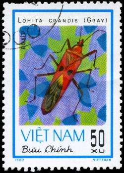 VIETNAM - CIRCA 1982: A Stamp printed in VIETNAM shows the image of a Giant Red Bug with the description Lohita grandis (Gray) from the series Chinch Bugs, circa 1982