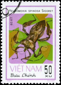 VIETNAM - CIRCA 1982: A Stamp printed in VIETNAM shows the image of a Squash Bug with the description Helcomeria spinosa Sigoret from the series Chinch Bugs, circa 1982