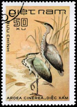 VIETNAM - CIRCA 1983: A Stamp shows image of a Grey Heron with the inscription Ardea cinerea from the series Water Birds, circa 1983