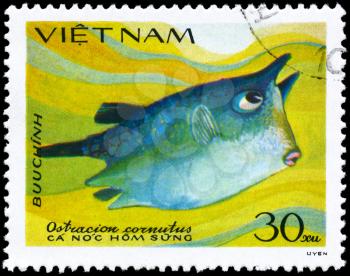 VIETNAM - CIRCA 1984: A Stamp printed in VIETNAM shows image of a Boxfish with the inscription Ostracion cornutus from the series Fish, circa 1984