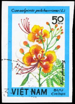 VIETNAM - CIRCA 1984: A Stamp printed in VIETNAM shows image of a Caesalpinia pulcherrima, from the series Wildflowers, circa 1984