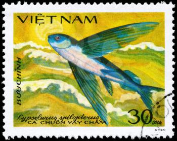 VIETNAM - CIRCA 1984: A Stamp printed in VIETNAM shows image of a Flying Fish with the inscription Cypselurus spilopterus from the series Fish, circa 1984
