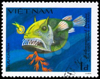 VIETNAM - CIRCA 1984: A Stamp printed in VIETNAM shows image of a Frogfish with the inscription Antennarius tridens from the series Fish, circa 1984