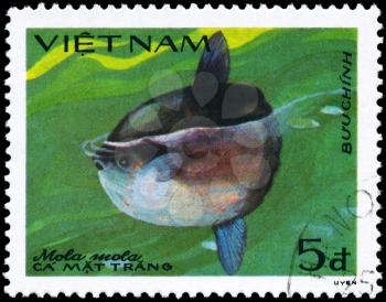 VIETNAM - CIRCA 1984: A Stamp printed in VIETNAM shows image of a Sunfish with the inscription Mola mola from the series Fish, circa 1984