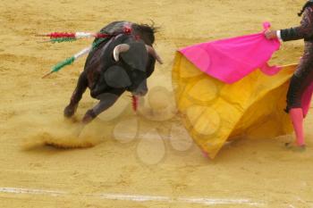 Royalty Free Photo of a Bull Fight