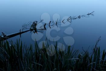Royalty Free Photo of a Reflection in Lake Matheson, NZ